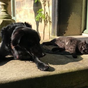 Meet your Posher, Maeve